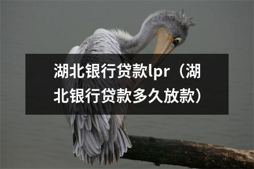 湖北银行贷款lpr（湖北银行贷款多久放款）