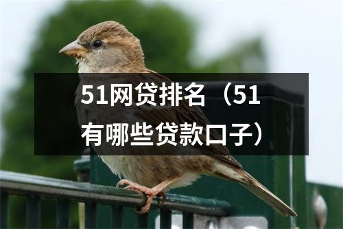 51网贷排名(51有哪些贷款口子)
