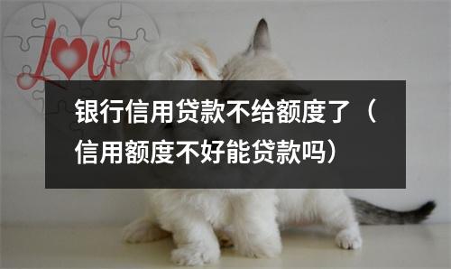 银行信用贷款不给额度了(信用额度不好能贷款吗)