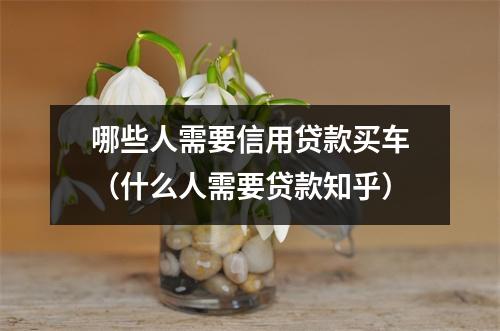 哪些人需要信用贷款买车（什么人需要贷款知乎）