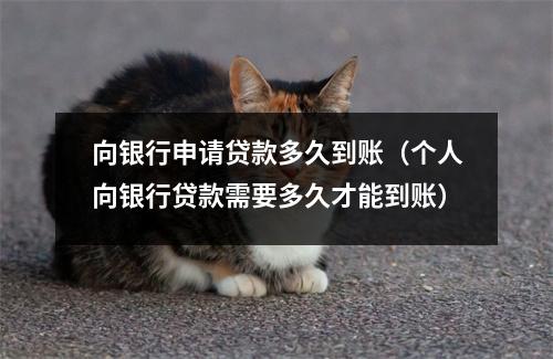 向银行申请贷款多久到账（个人向银行贷款需要多久才能到账）