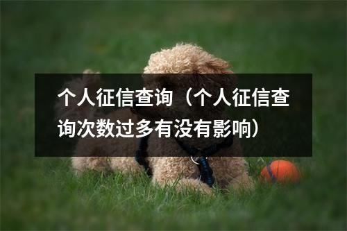 个人征信查询（个人征信查询次数过多有没有影响）