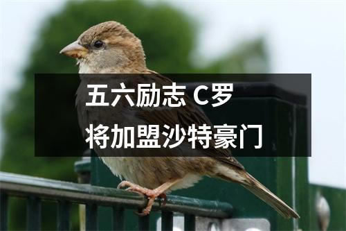 五六励志 C罗将加盟沙特豪门