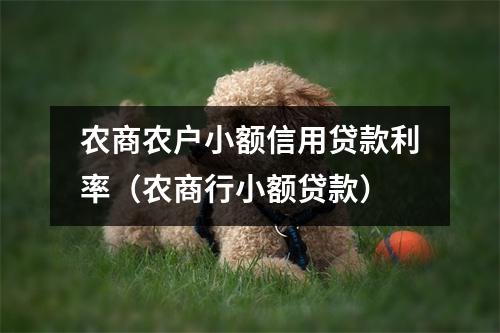 农商农户小额信用贷款利率（农商行小额贷款）