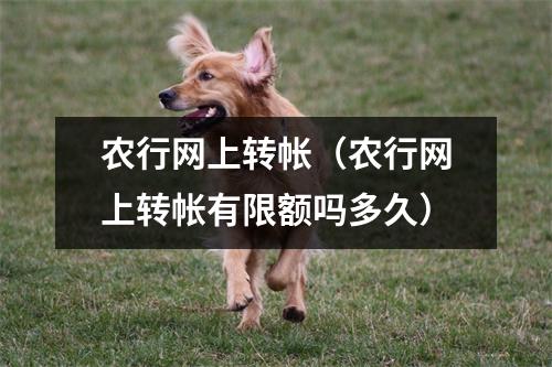 农行网上转帐（农行网上转帐有限额吗多久）