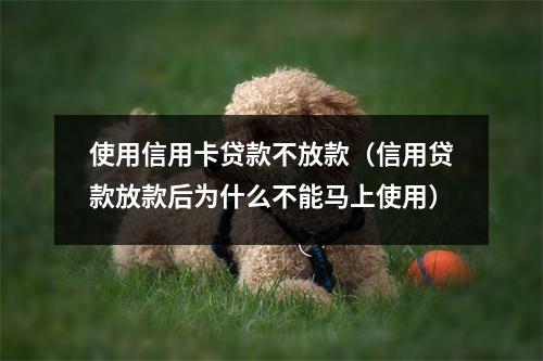 使用信用卡贷款不放款(信用贷款放款后为什么不能马上使用)