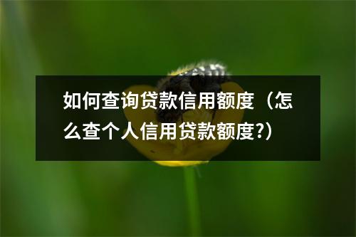 如何查询贷款信用额度（怎么查个人信用贷款额度?）
