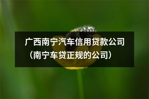 广西南宁汽车信用贷款公司（南宁车贷正规的公司）