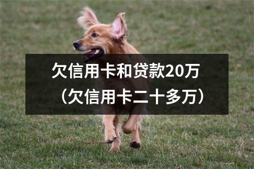 欠信用卡和贷款20万(欠信用卡二十多万)