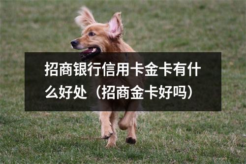 招商银行信用卡金卡有什么好处（招商金卡好吗）