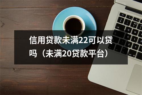 信用贷款未满22可以贷吗（未满20贷款平台）