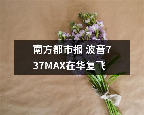 南方都市报 波音737MAX在华复飞