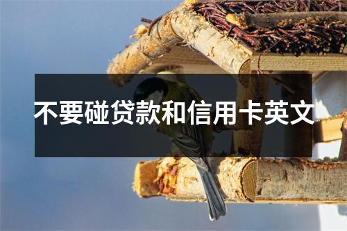 不要碰贷款和信用卡英文