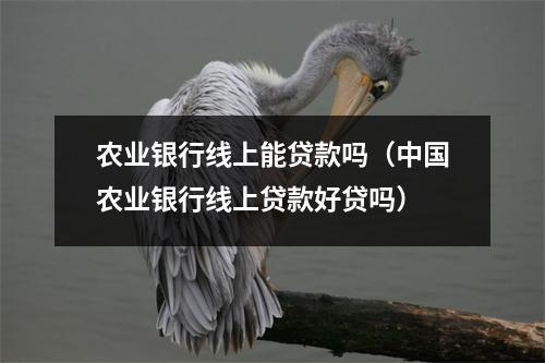农业银行线上能贷款吗(中国农业银行线上贷款好贷吗)