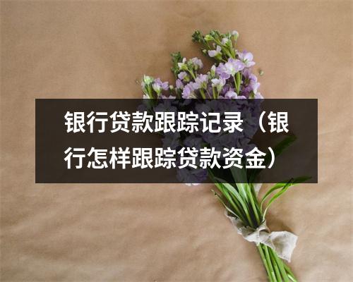 银行贷款跟踪记录（银行怎样跟踪贷款资金）