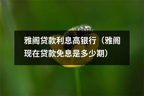 雅阁贷款利息高银行（雅阁现在贷款免息是多少期）