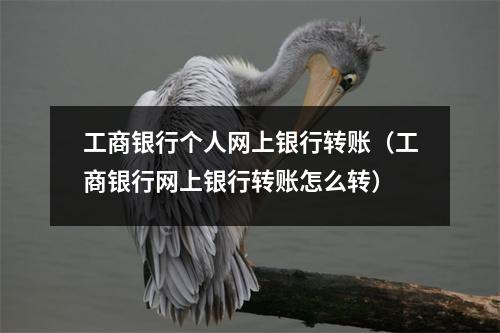 工商银行个人网上银行转账（工商银行网上银行转账怎么转）