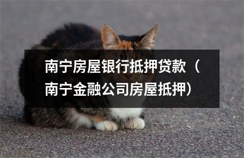 南宁房屋银行抵押贷款（南宁金融公司房屋抵押）