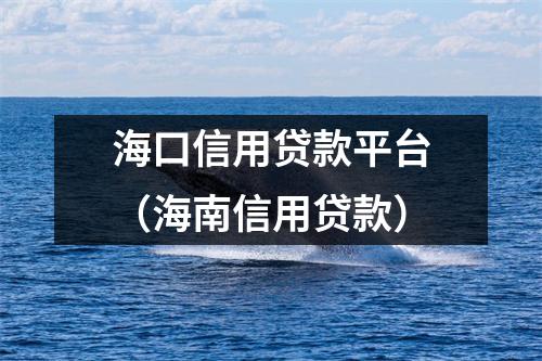 海口信用贷款平台（海南信用贷款）