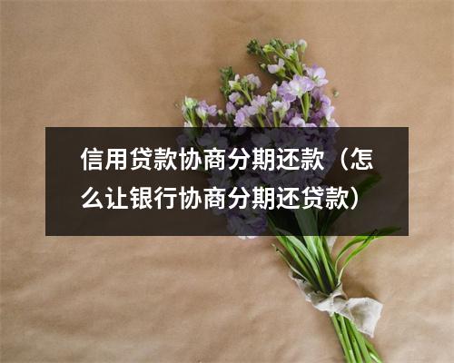 信用贷款协商分期还款（怎么让银行协商分期还贷款）