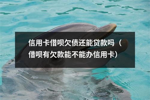 信用卡借呗欠债还能贷款吗（借呗有欠款能不能办信用卡）