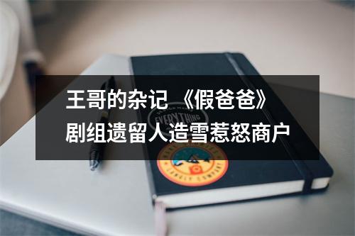 王哥的杂记 《假爸爸》剧组遗留人造雪惹怒商户