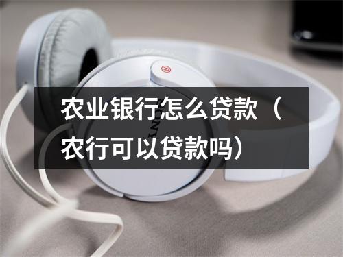 农业银行怎么贷款（农行可以贷款吗）