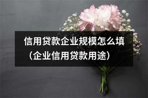 信用贷款企业规模怎么填（企业信用贷款用途）