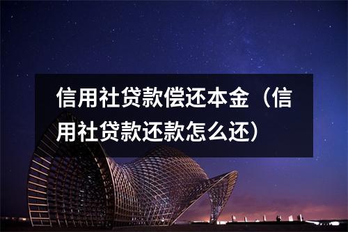 信用社贷款偿还本金（信用社贷款还款怎么还）