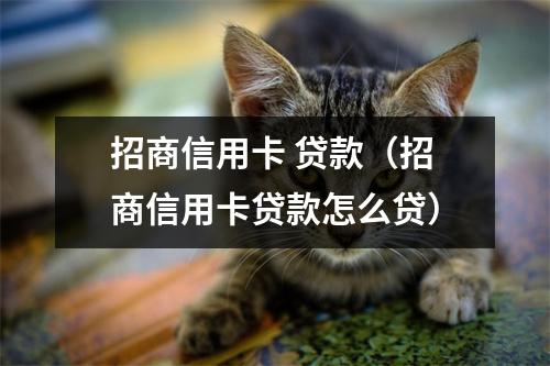 招商信用卡 贷款（招商信用卡贷款怎么贷）