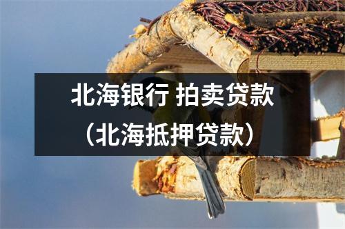 北海银行 拍卖贷款（北海抵押贷款）