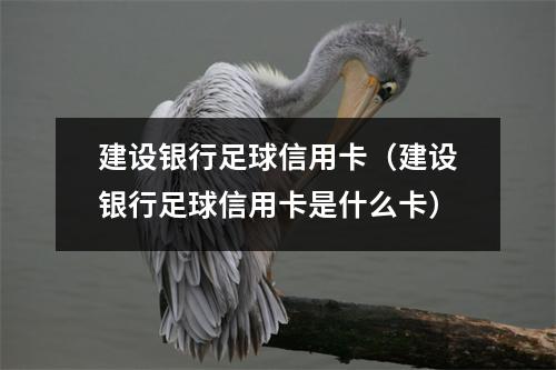 建设银行足球信用卡（建设银行足球信用卡是什么卡）