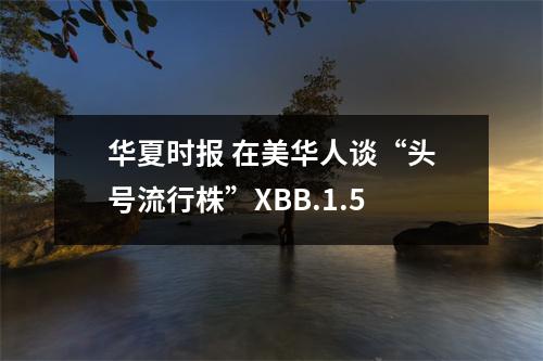 华夏时报 在美华人谈“头号流行株”XBB.1.5