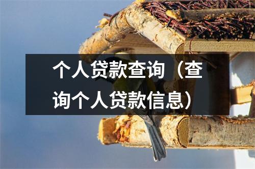 个人贷款查询（查询个人贷款信息）