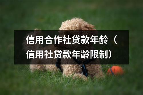 信用合作社贷款年龄（信用社贷款年龄限制）