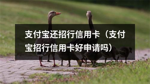 支付宝还招行信用卡(支付宝招行信用卡好申请吗)