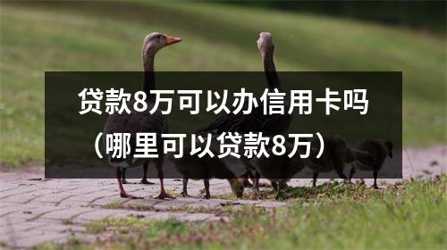 贷款8万可以办信用卡吗（哪里可以贷款8万）