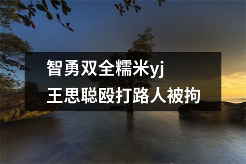 智勇双全糯米yj 王思聪殴打路人被拘