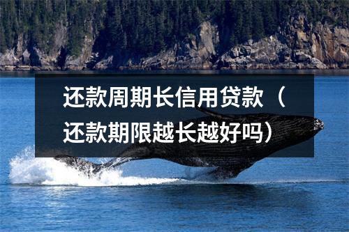 还款周期长信用贷款(还款期限越长越好吗)
