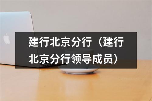建行北京分行(建行北京分行领导成员)