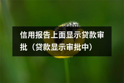 信用报告上面显示贷款审批（贷款显示审批中）