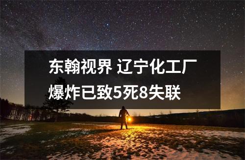 东翰视界 辽宁化工厂爆炸已致5死8失联