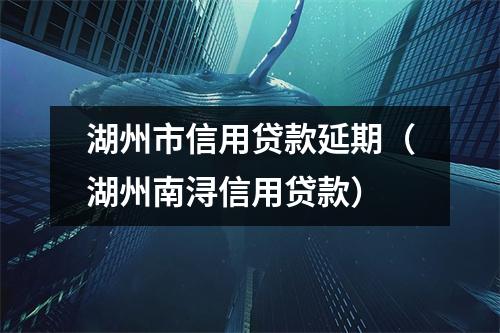 湖州市信用贷款延期（湖州南浔信用贷款）