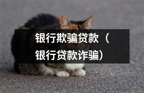 银行欺骗贷款（银行贷款诈骗）