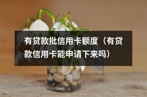 有贷款批信用卡额度(有贷款信用卡能申请下来吗)
