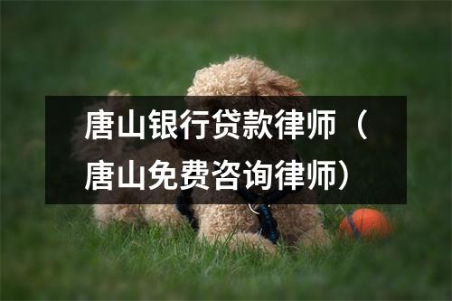 唐山银行贷款律师（唐山免费咨询律师）