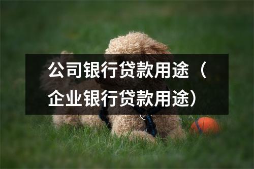 公司银行贷款用途（企业银行贷款用途）