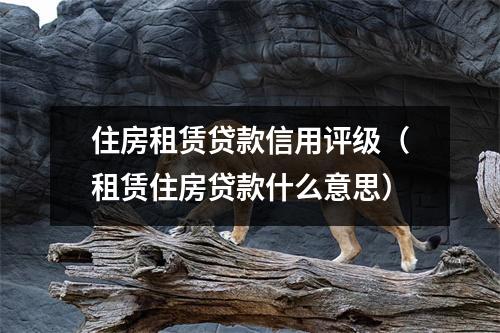 住房租赁贷款信用评级（租赁住房贷款什么意思）