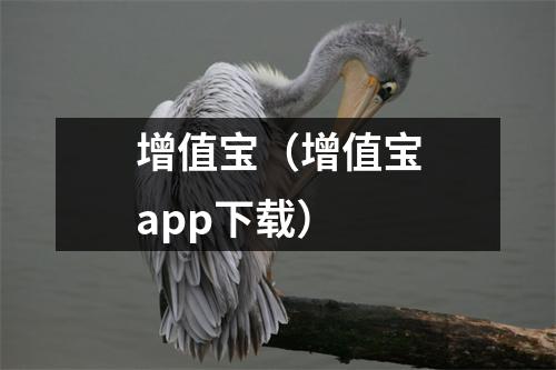 增值宝（增值宝app下载）