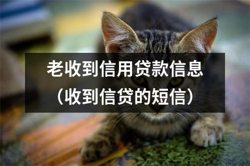 老收到信用贷款信息（收到信贷的短信）